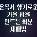 향기로운 차생활 | 은목서 향기로운 가을 밤을 만드는 화분 재배법​