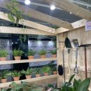 라운지서울 이미지