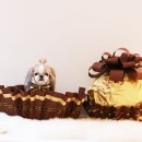 그루밍051 이미지