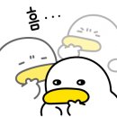 (주)유진메디칼 이미지