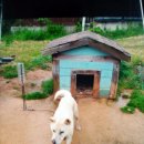 가덕파출소 이미지