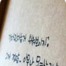 꿍꿍 Daum카페