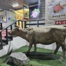 봉곡동224 이미지