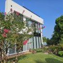 제주하와이 덕수궁 이미지