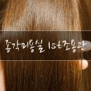 신우덴탈 | 종로미용실 1st조용관 클리닉 염색 후기!