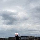 선인장을 부탁해 네이버블로그