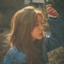 도도해 이미지