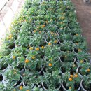 한몽농장 이미지