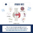 바른자세 Pt짐 이미지