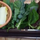 원조쌈밥(창원더시티세븐점) 이미지