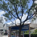 고방 | 부산 온천장 팥빙수 맛집, 국내산 팥으로 만든 팥고방616 방문 후기🍧