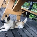 꽃바람휴게소