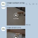 이재룡의 뭉개뭉개유치원 이미지