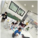 늘푸른 태권도장 이미지