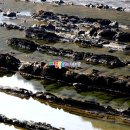 평창동강로 이미지