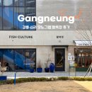 더테이블 | 강릉 더그로브테이블 팔복정 후기 칼국수 국밥 메뉴 내돈내산