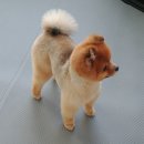 멍이가 웃통벗는날 이미지