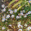 태흥2리 마을회관 이미지