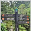 안골길 14 이미지