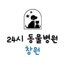24시 리본동물영상센터 이미지