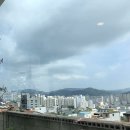 세미아구찜