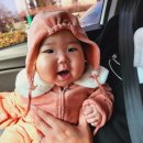 늘솔길공원양떼목장 이미지