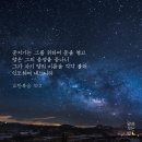 코리아공인중개사사무소 이미지