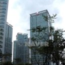 분당-104 이미지