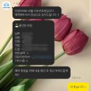 장풍쏘는 돼지 | 보홀] 보홀 호핑투어::두 번가고싶은 디프리호핑 발리카삭 거북이 돌고래 디제잉파티 내돈내산 솔직후기
