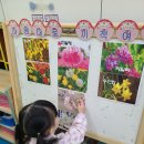 달님반 4월 1주 활동사진 - 봄꽃 사진을 보아요 이미지