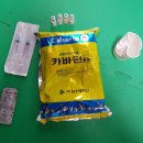 동진동물약품 네이버블로그