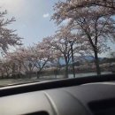 속초파인리즈cc영랑호cc 이미지