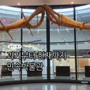 치악민속박물관(휴관) | 광주역사민속박물관 위치 입장료 주차 광주 아이랑 갈만한 곳 후기