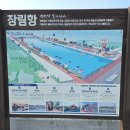 장림항(문화촌) 이미지