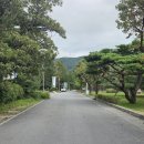 솔밭공원 이미지