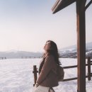 창원목장 이미지