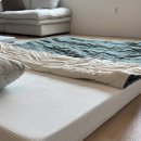 그린티 민박 | 바닥 매트리스 추천 TOP 7 스펙 비교 분석 내돈내산 후기