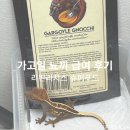 리치스 | [슈퍼푸드] 리핀리치스 가고일 뇨끼 급여 후기