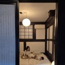 거멍곶낭 이미지