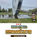 인천아시아드경기장 | 잔디밭을 통째로 전세 낸 강아지 노을이의 인천 아시아드 경기장 산책 후기