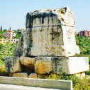 연세 다윗 이미지