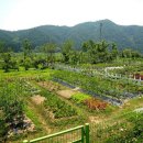 하늘농원민박 이미지