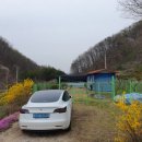 금동농장 이미지