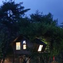 트리하우스 이미지