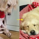 남은농장 이미지