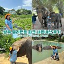 엘리펀트샤워 | 방콕 엘리펀트 파크 코끼리 보호소 준비물 예약 내돈내산