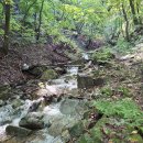 소똥령마을 이미지