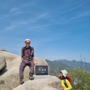 용봉초교 이미지