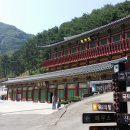 군북-10 Daum카페