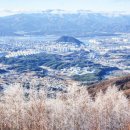 대룡산주유소 이미지